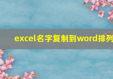 excel名字复制到word排列