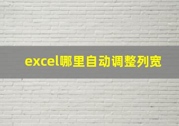 excel哪里自动调整列宽