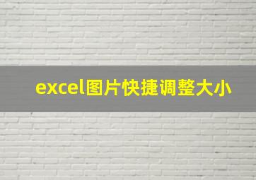 excel图片快捷调整大小