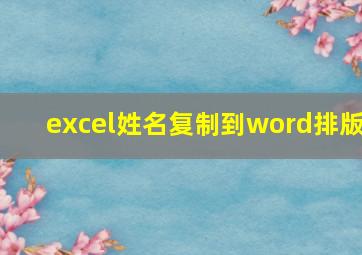 excel姓名复制到word排版