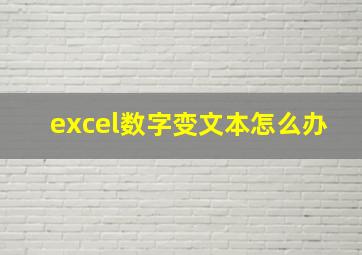 excel数字变文本怎么办