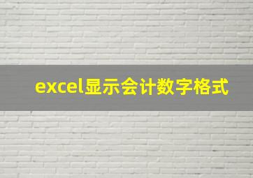 excel显示会计数字格式