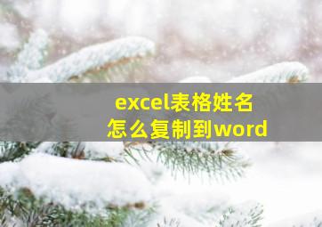 excel表格姓名怎么复制到word