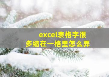 excel表格字很多缩在一格里怎么弄