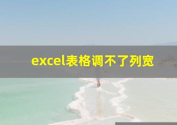 excel表格调不了列宽