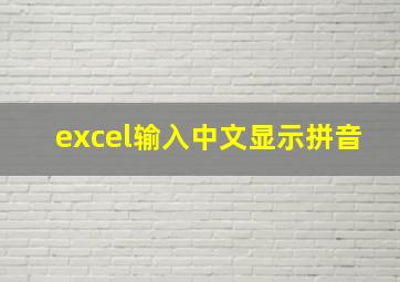 excel输入中文显示拼音