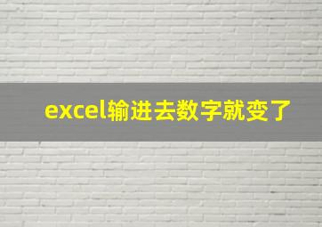 excel输进去数字就变了