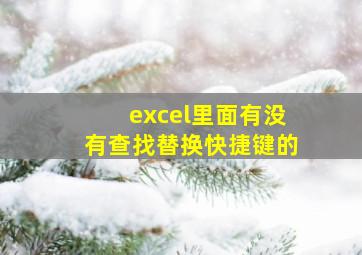 excel里面有没有查找替换快捷键的