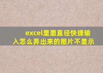 excel里面直径快捷输入怎么弄出来的图片不显示