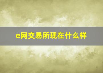 e网交易所现在什么样