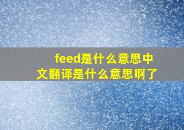 feed是什么意思中文翻译是什么意思啊了