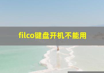 filco键盘开机不能用