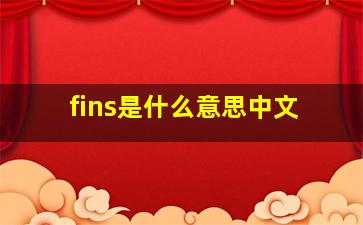 fins是什么意思中文