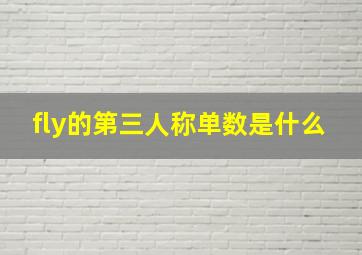 fly的第三人称单数是什么