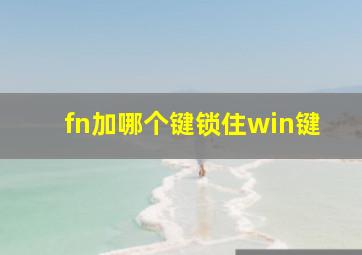 fn加哪个键锁住win键