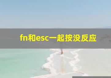 fn和esc一起按没反应