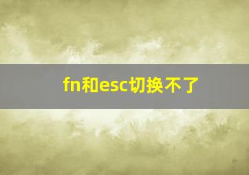 fn和esc切换不了