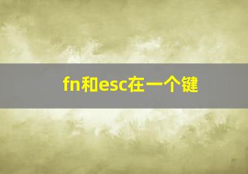 fn和esc在一个键