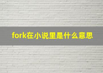 fork在小说里是什么意思