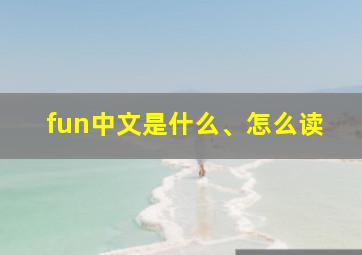 fun中文是什么、怎么读