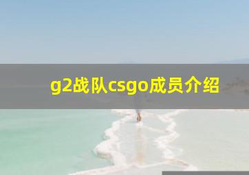 g2战队csgo成员介绍