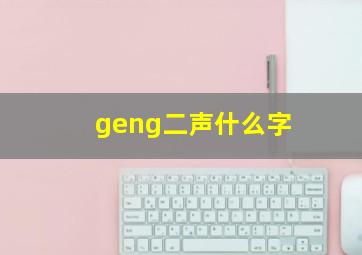 geng二声什么字