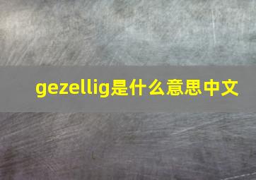 gezellig是什么意思中文