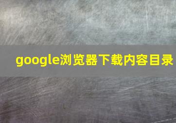 google浏览器下载内容目录