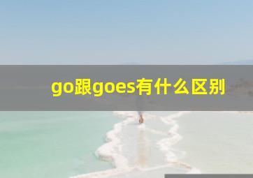 go跟goes有什么区别