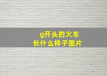 g开头的火车长什么样子图片