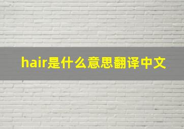 hair是什么意思翻译中文