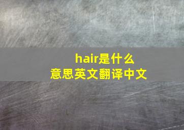 hair是什么意思英文翻译中文