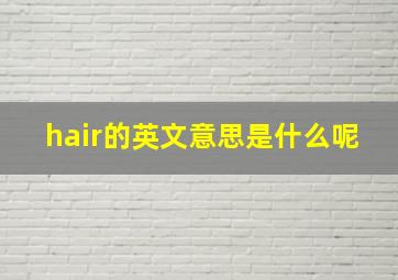 hair的英文意思是什么呢