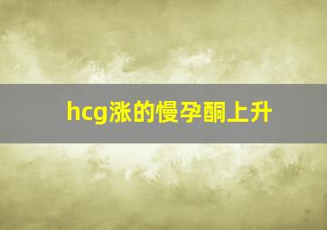 hcg涨的慢孕酮上升