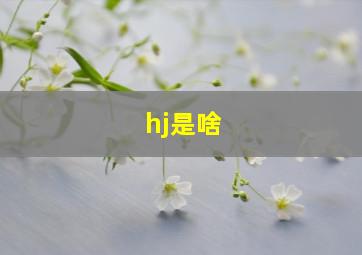 hj是啥