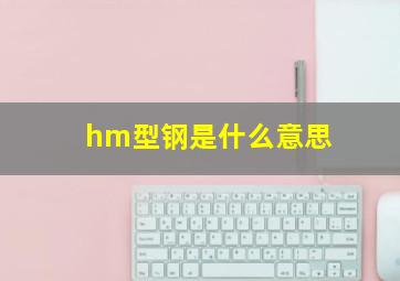 hm型钢是什么意思