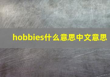 hobbies什么意思中文意思