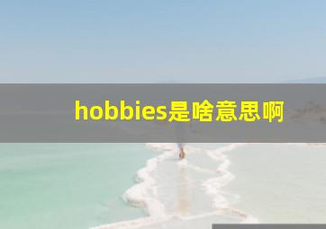 hobbies是啥意思啊