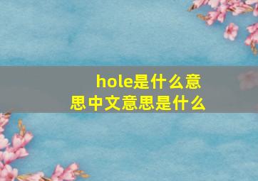 hole是什么意思中文意思是什么