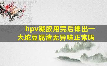 hpv凝胶用完后排出一大坨豆腐渣无异味正常吗