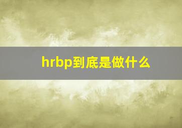 hrbp到底是做什么