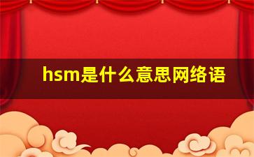 hsm是什么意思网络语