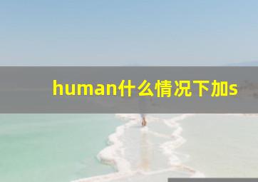 human什么情况下加s