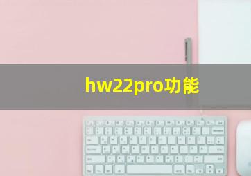 hw22pro功能