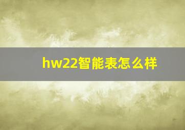 hw22智能表怎么样