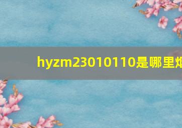 hyzm23010110是哪里烟