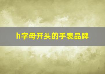 h字母开头的手表品牌