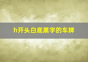 h开头白底黑字的车牌