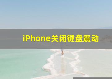 iPhone关闭键盘震动