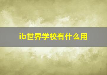 ib世界学校有什么用